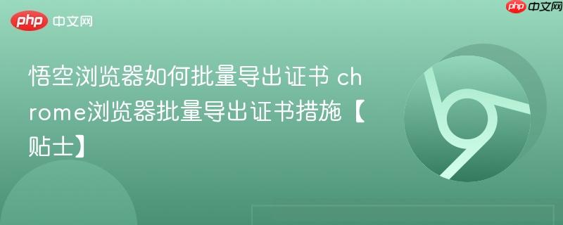 chrome浏览器批量导出证书措施【贴士】- 悟空浏览器如何批量导出证书