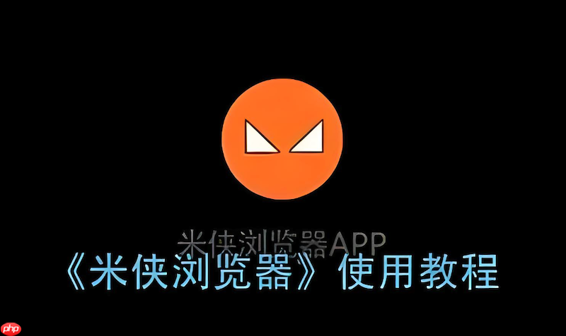 米侠浏览器脚本权限检查- 米侠浏览器脚本运行失败怎么办