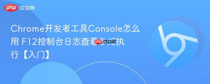 F12控制台日志查看与JS执行【入门】- Chrome开发者工具Console怎么用