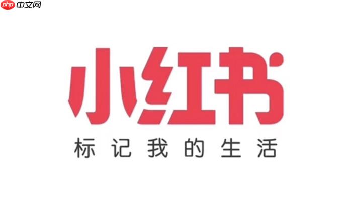 小红书账号无法登录解决方法- 小红书账号登不回去怎么办