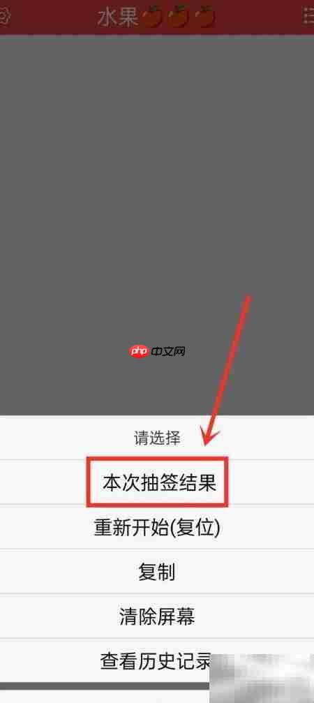 如何复制随机抽签结果-