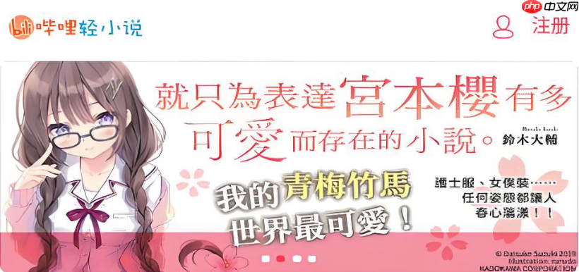 龙傲天系统流小说大全- 哔哩轻小说奇幻入口