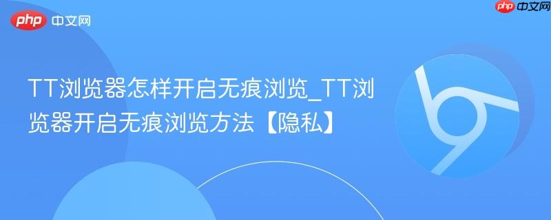 TT浏览器开启无痕浏览方法【隐私】- TT浏览器怎样开启无痕浏览