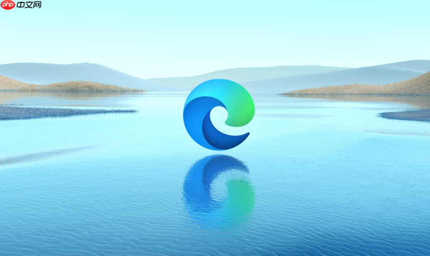 用户数据目录结构解析- edge插件文件夹