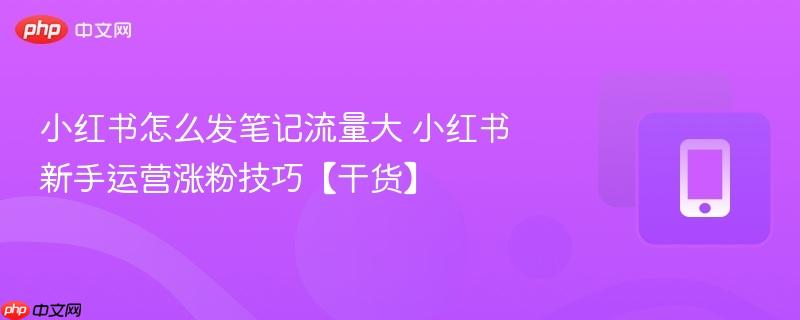 小红书新手运营涨粉技巧【干货】- 小红书怎么发笔记流量大