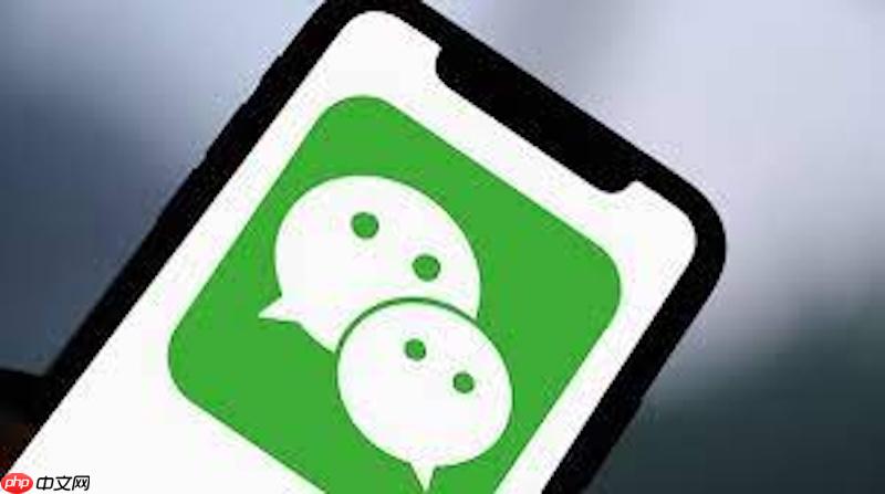 微信网页版快捷登录入口- 微信网页版文件传输助手入口