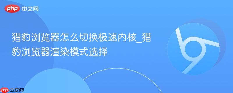 猎豹浏览器渲染模式选择- 猎豹浏览器怎么切换极速内核