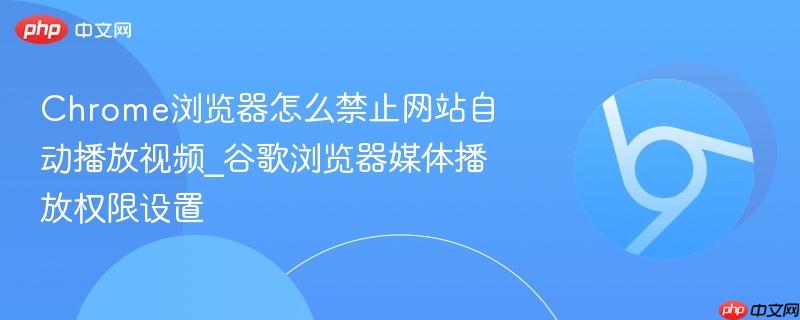 谷歌浏览器媒体播放权限设置- Chrome浏览器怎么禁止网站自动播放视频