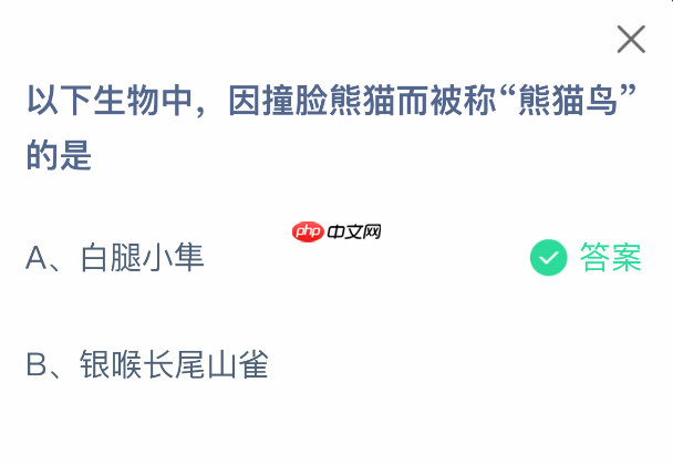 以下生物中因撞脸熊猫而被称熊猫鸟的是-