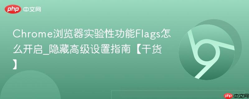 隐藏高级设置指南【干货】- Chrome浏览器实验性功能Flags怎么开启