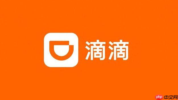 滴滴出行年度数据怎么算的- 2025滴滴年度报告统计时间范围