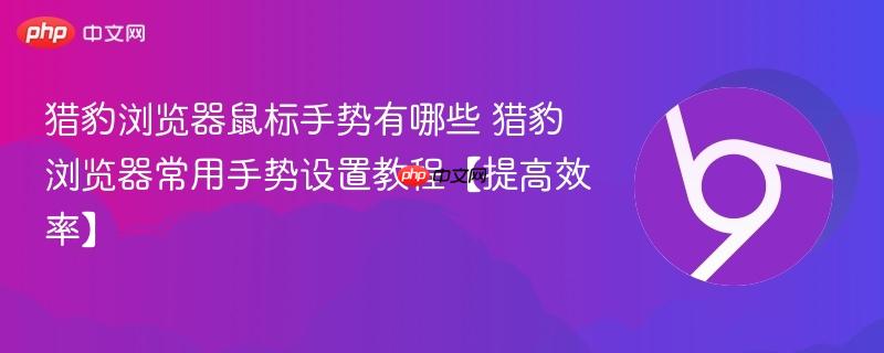 猎豹浏览器常用手势设置教程【提高效率】- 猎豹浏览器鼠标手势有哪些