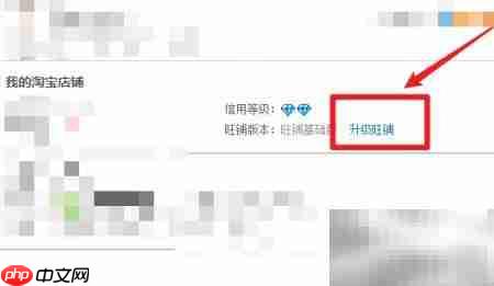 淘宝旺铺基础版升级智能版-