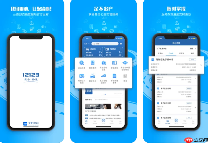 12123缴款编号支付教程- 手机12123如何自助缴纳交通罚款