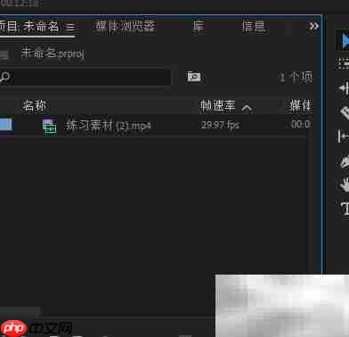 Premier修复老照片-