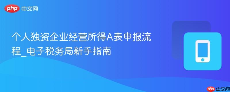 电子税务局新手指南- 个人独资企业经营所得A表申报流程