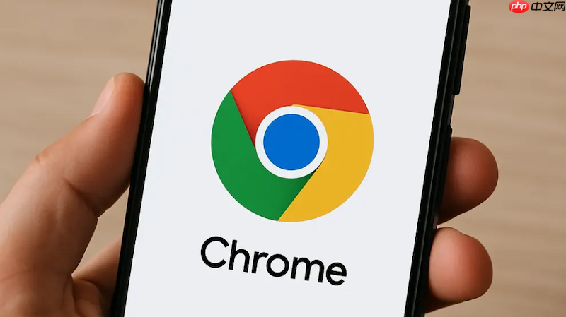 chrome网页版轻量级体验- chrome浏览器网页轻便版入口