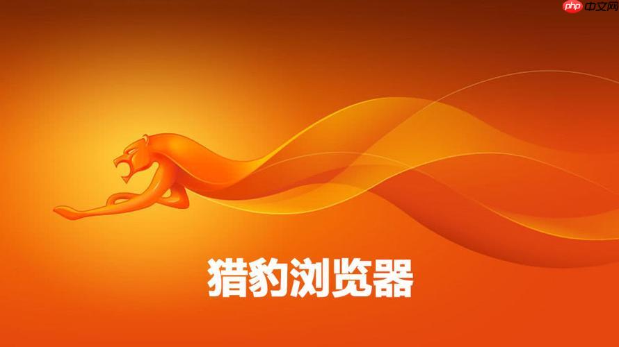 猎豹浏览器清理缓存步骤【一键搞定】- 猎豹浏览器怎么清理缓存