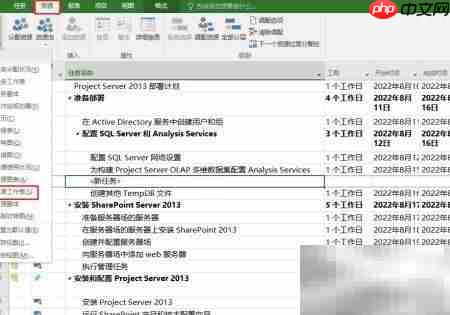 Project添加项目预算方法-