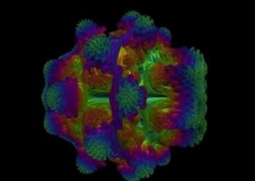 毒蘑菇手机测试网页怎么用？毒蘑菇移动端测试方法-