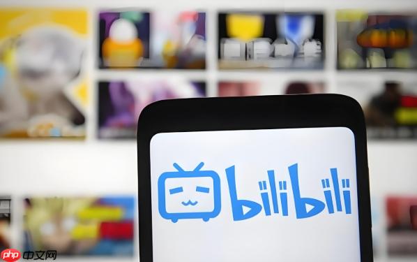 Bilibili动漫高速稳定观看地址-Bilibili动漫官方正版纯净版链接-