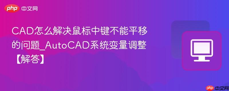 AutoCAD系统变量调整【解答】- CAD怎么解决鼠标中键不能平移的问题