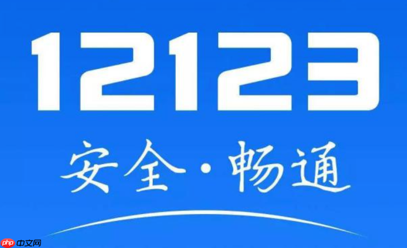 12123网页在线登录- 交管12123电脑版官网