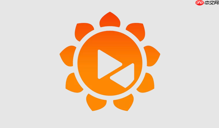 电脑远程桌面连接与控制教程- 向日葵怎么远程控制电脑