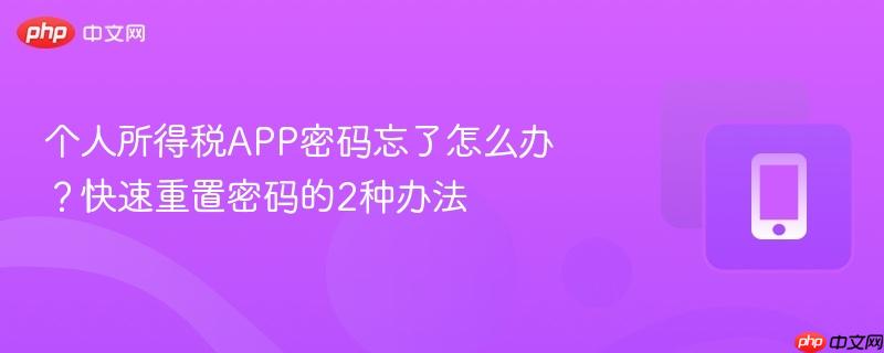 个人所得税APP密码忘了怎么办？快速重置密码的2种办法-